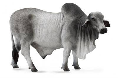 Collecta boerderijdieren: Brahmaan stier 14 cm grijs Collecta boerderijdieren: Brahmaan stier 14 cm grijs