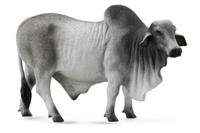 Collecta boerderijdieren: Brahmaan stier 14 cm grijs - thumbnail