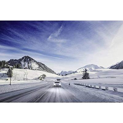 Philips Automotive 12342WVUSM Halogeenlamp WhiteVision, WhiteVision Xenon-effect H4 60/55 W 12 V