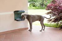 Bama pet hondenvoederbak 48x27x42 cm groen - thumbnail