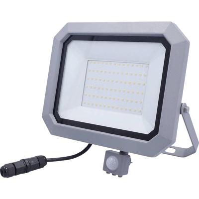 AS Schwabe Slimline Pro 46420 LED-buitenschijnwerper met bewegingsmelder Energielabel: E (A - G) LED 50 W Grijs