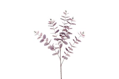 Countryfield eucalyptus cin 106 cm paars