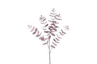 Countryfield eucalyptus cin 106 cm paars - thumbnail
