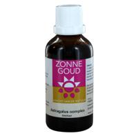 Astragalus complex - thumbnail