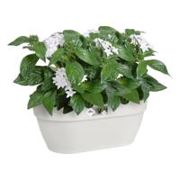 Elho Vibia Campana wall basket wandbak 35 cm zijdewit - thumbnail