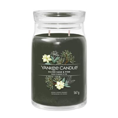 Yankee Candle silver sage & pine signature medium jar