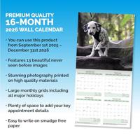 Dalmatier Kalender 2026 - thumbnail