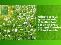 Zaden BHS Trèfle Blanc 500 g - thumbnail