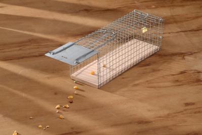 Nature rattenkooi draadmodel 9.5x27.5x9.5 Nature rattenkooi draadmodel 9.5x27.5x9.5