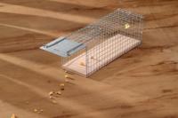 Rattenkooi draadmodel - thumbnail