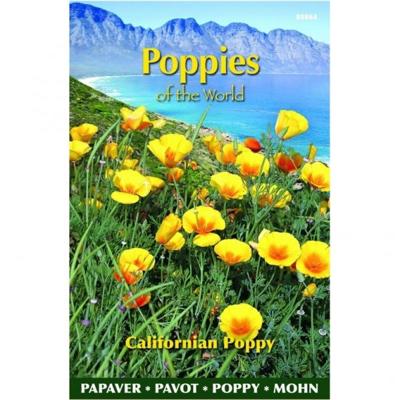 Slaapmuts poppies of the world c 1g