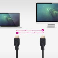 DVI-kabel NANOCABLE 10.15.8302 2 m Zwart - thumbnail
