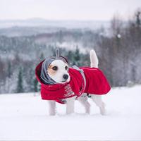 Hurtta Extreme Warme winterjas voor honden, 35 cm, bordeauxrood - thumbnail