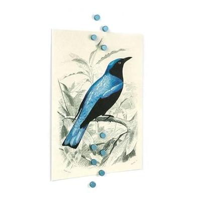 Trendform Magnetisch staal - set van 10 - Zilverblauw