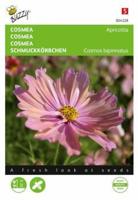 Zaden cosmea apricotta 30 zaden Buzzy - Buzzy - thumbnail