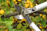 Felco Takkenschaar 231 - Meuwissen agro - thumbnail