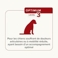 Beaphar Flexifit Chews hond 175 gram - thumbnail