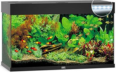 Juwel aquarium Rio 125 LED met filter zwart Juwel Gebr. de Boon - Gebr de boon Juwel aquarium Rio 125 LED met filter zwart Juwel Gebr. de Boon - Gebr de boon