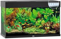 Juwel aquarium Rio 125 LED met filter zwart Juwel Gebr. de Boon - Gebr de boon - thumbnail
