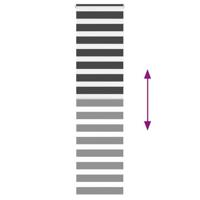 VidaXL Zebra rolgordijn 55x230 cm stofbreedte 50,9 cm zwart - thumbnail