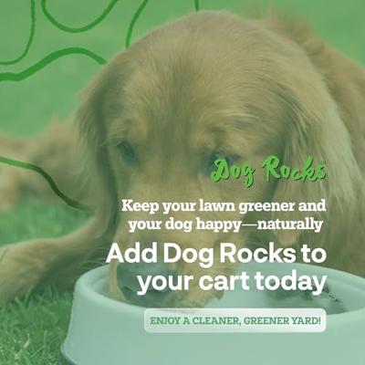 DOG ROCKS