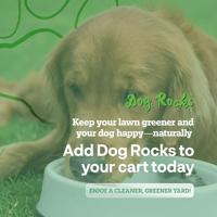 DOG ROCKS - thumbnail