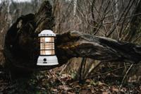 Barebones Forest 1-325 Lumen Usb Vintage White - thumbnail