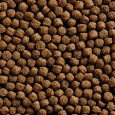 Vivani Wheat Germ 6mm Koivoer - 15kg Zak - Optimaal voor Koi Gezondheid vanaf 8°C