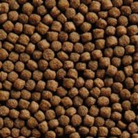 Vivani Wheat Germ 6mm Koivoer - 15kg Zak - Optimaal voor Koi Gezondheid vanaf 8°C - thumbnail