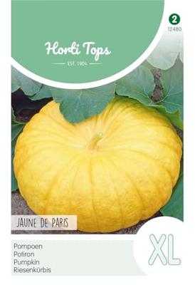 Zaden Pompoenen Jaune de Paris (Centenaar) Hortitops - Hortitops