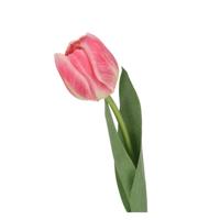 Tulp Kunstbloem 48cm Roze - thumbnail