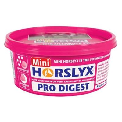 Horslyx Mini Spijsvertering