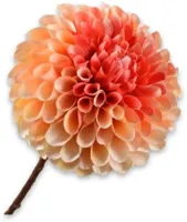 Silk-ka kunsttak dahlia 64cm oranje - thumbnail