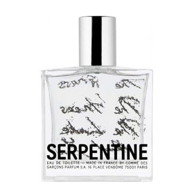 Comme Des Garcons Serpentine