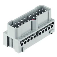 Harting Stekkerinzetstuk 19410202601 Inhoud: 1 stuk(s) - thumbnail