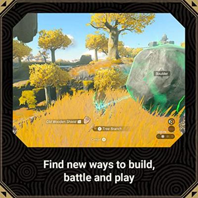 The Legend of Zelda Tears of the Kingdom