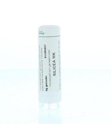 Homeoden Heel Silicea MK 6 Gram Homeoden Heel Silicea MK 6 Gram