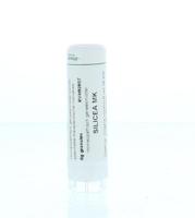 Homeoden Heel Silicea MK 6 Gram - thumbnail