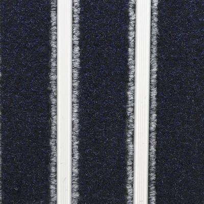 COBA Europe PM020005C PathMaster Vuilopvangsysteem (b x h) 1 m x 13 mm (Stukgoed) Blauw