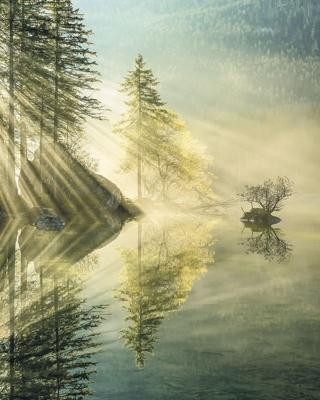 Noordwand Komar Stefan Hefele Fotobehang Indulgence of Beauty - SH018-vd2