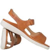 Ganter 200181 GINA - alle - thumbnail