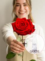 Enkele premium rode roos, inclusief vaasje - thumbnail