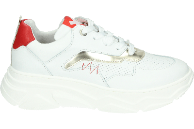 Red Rag 13188 - alle