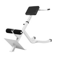 Hyperextensie Bank (roman chair) - thumbnail