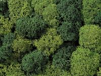 NOCH 8621 Mos Lichtgroen, Donkergroen - thumbnail