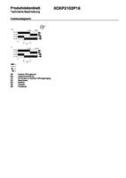 Telemecanique XCKP2102P16 XCKP2102P16 Eindschakelaar Rolplunjer IP66/IP67 1 stuk(s) - thumbnail