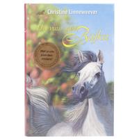 Uitgeverij Kluitman Gouden paarden: het vuur van bajka - thumbnail