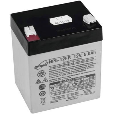 ACCESSORY Battery 12V/5000mAh