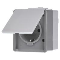 Siemens 5UB4711 Delta Grijs Schakelmateriaal 1 stuk(s)