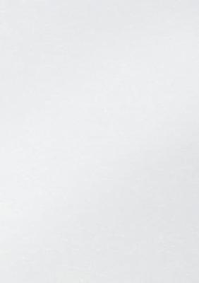 Fotokarton folia 50x70cm parelmoer 00 wit | 10 stuks